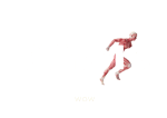 Logo Physiowow